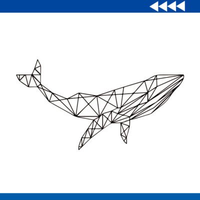 Animal Ballena