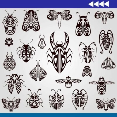 Grabados de Insectos