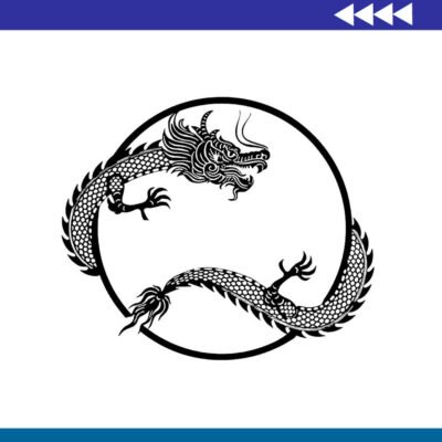 Decoración Dragón para pared