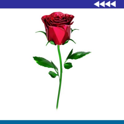 Rosa de Metal